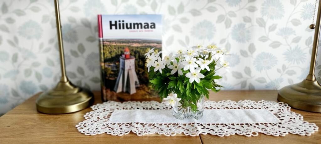 Meie Hiiumaa majutus Kärdlas